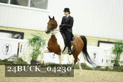 24BUCK_04230 proof