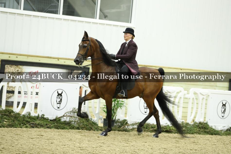 Proof 24BUCK_04234