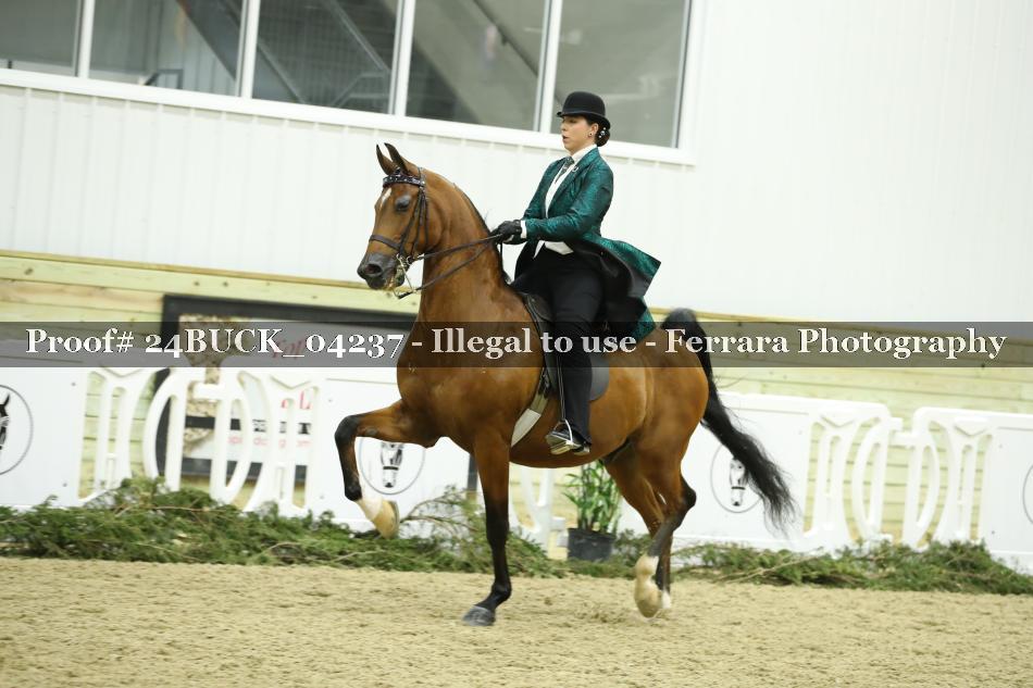Proof 24BUCK_04237