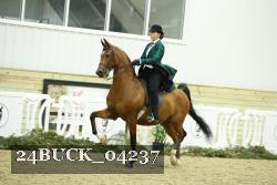 24BUCK_04237 proof