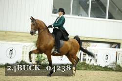 24BUCK_04238 proof