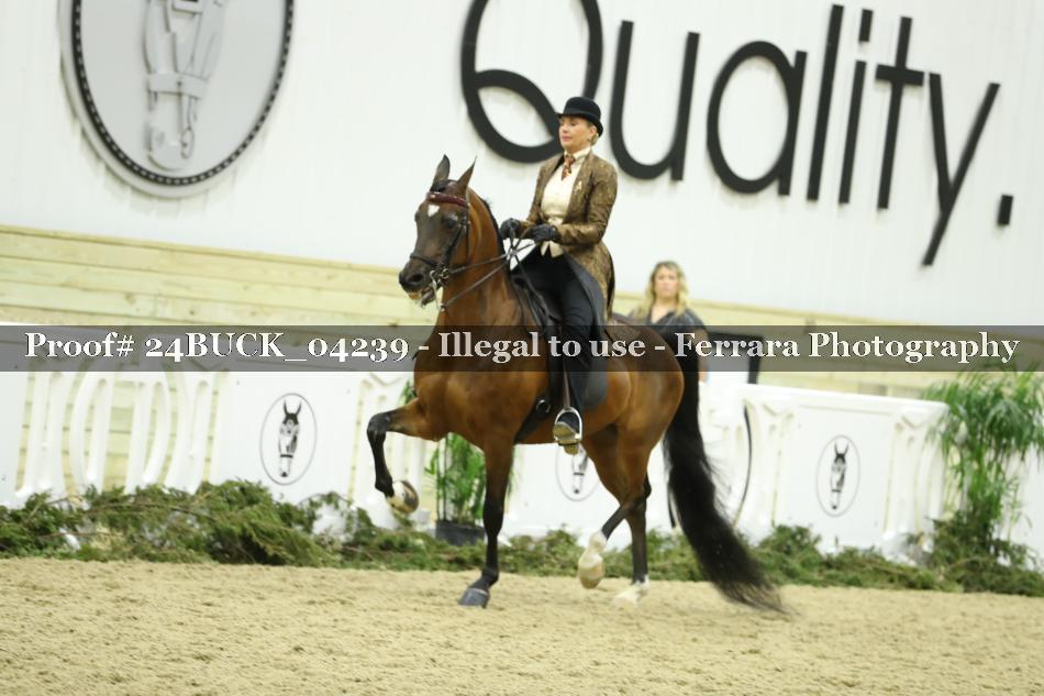 Proof 24BUCK_04239