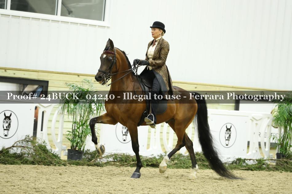 Proof 24BUCK_04240