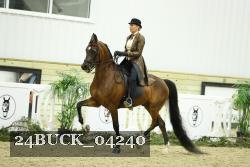 24BUCK_04240 proof