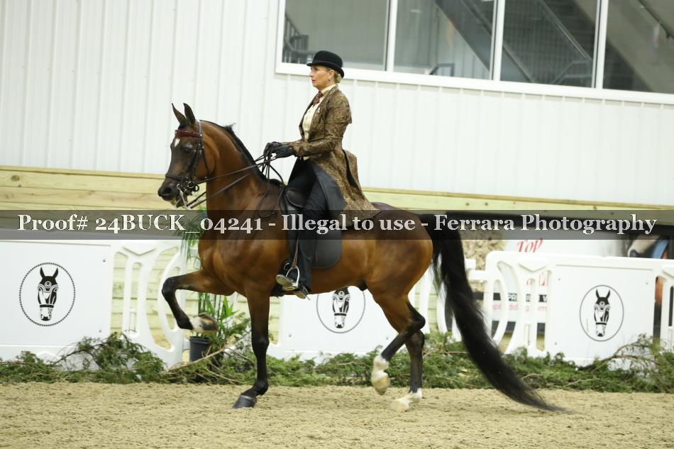 Proof 24BUCK_04241