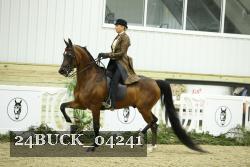 24BUCK_04241 proof