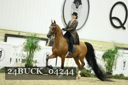 24BUCK_04244 proof