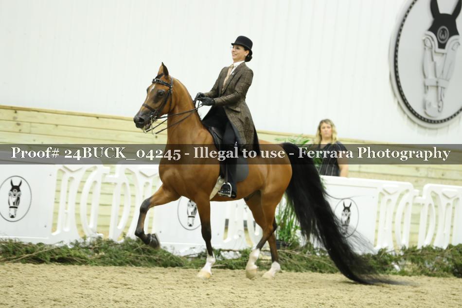 Proof 24BUCK_04245