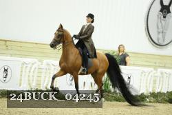 24BUCK_04245 proof