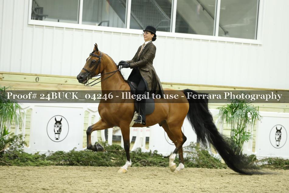 Proof 24BUCK_04246