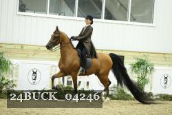 24BUCK_04246 proof