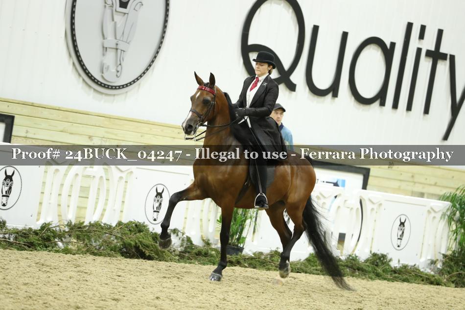 Proof 24BUCK_04247