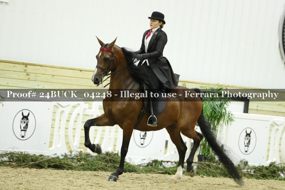 Proof 24BUCK_04248