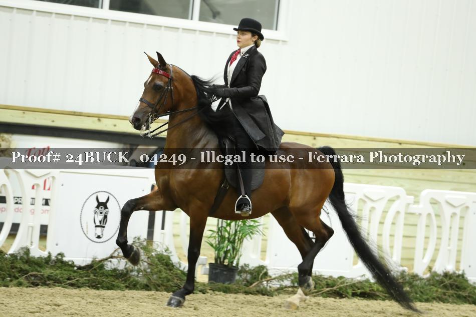 Proof 24BUCK_04249