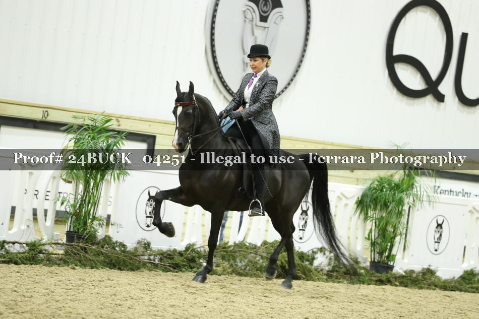 Proof 24BUCK_04251