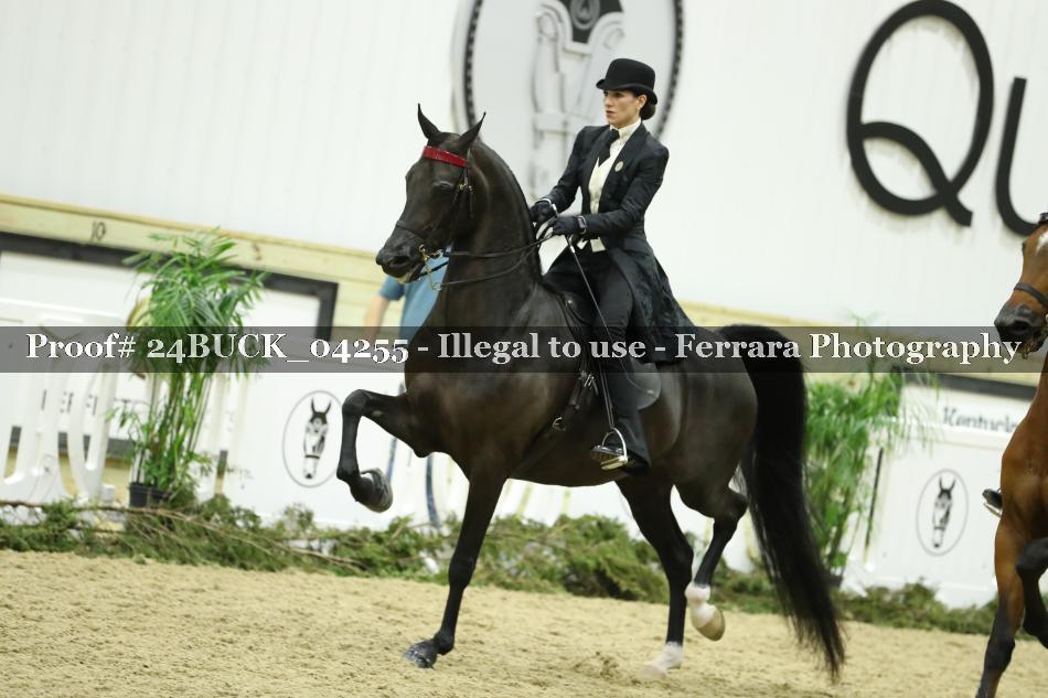 Proof 24BUCK_04255