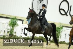 24BUCK_04255 proof