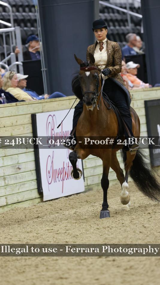 Proof 24BUCK_04256
