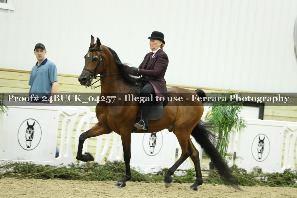 Proof 24BUCK_04257