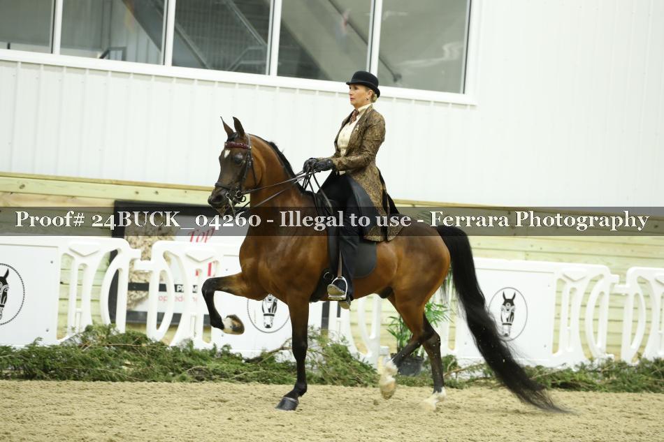 Proof 24BUCK_04260