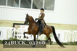 24BUCK_04260 proof