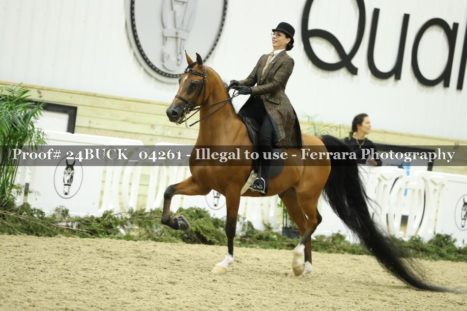 Proof 24BUCK_04261