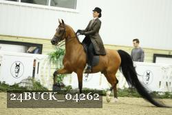24BUCK_04262 proof