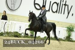 24BUCK_04266 proof