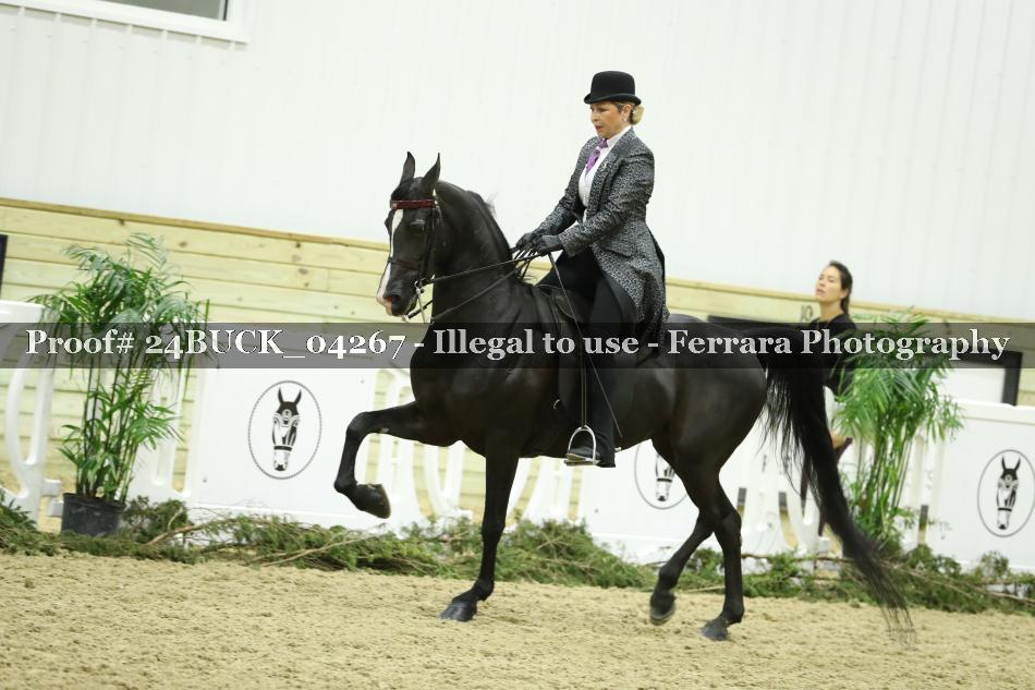Proof 24BUCK_04267