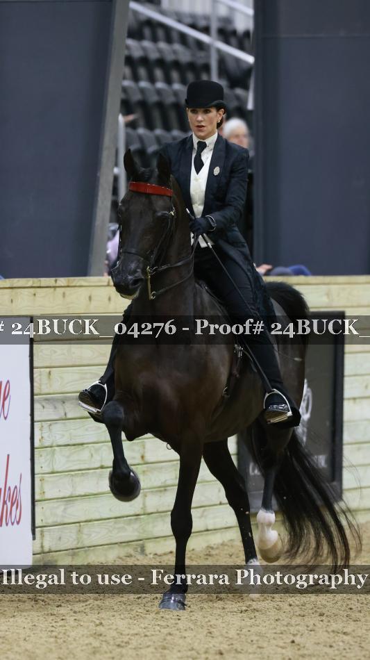 Proof 24BUCK_04276