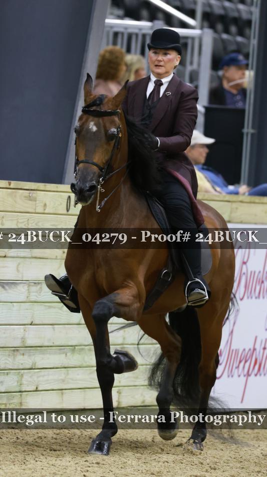 Proof 24BUCK_04279