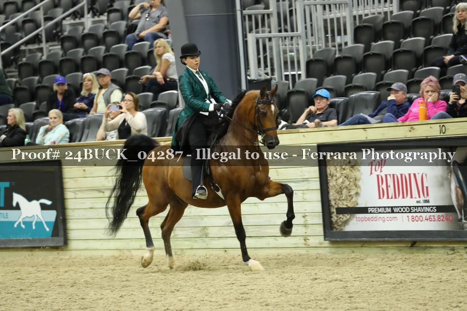 Proof 24BUCK_04287
