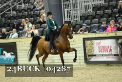 24BUCK_04287 proof
