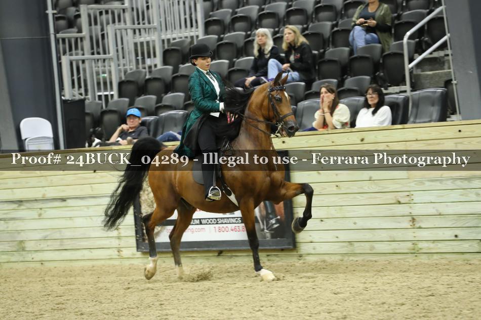 Proof 24BUCK_04289