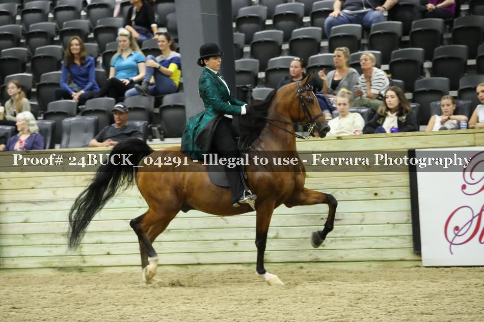 Proof 24BUCK_04291