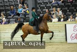 24BUCK_04291 proof