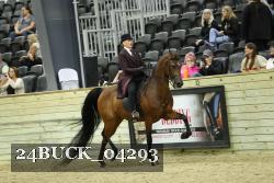 24BUCK_04293 proof