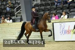 24BUCK_04294 proof