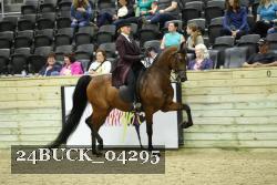 24BUCK_04295 proof