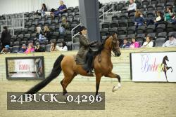 24BUCK_04296 proof