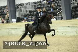 24BUCK_04300 proof