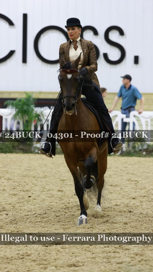 Proof 24BUCK_04301