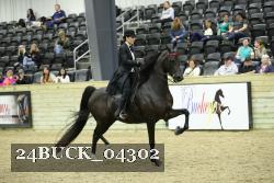 24BUCK_04302 proof