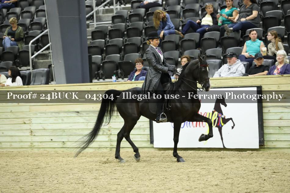 Proof 24BUCK_04304