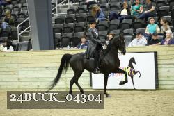 24BUCK_04304 proof
