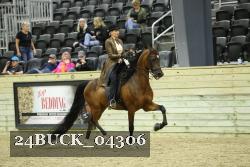 24BUCK_04306 proof