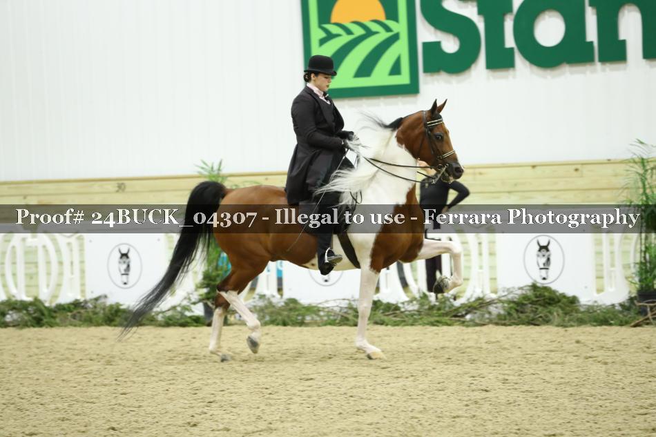 Proof 24BUCK_04307