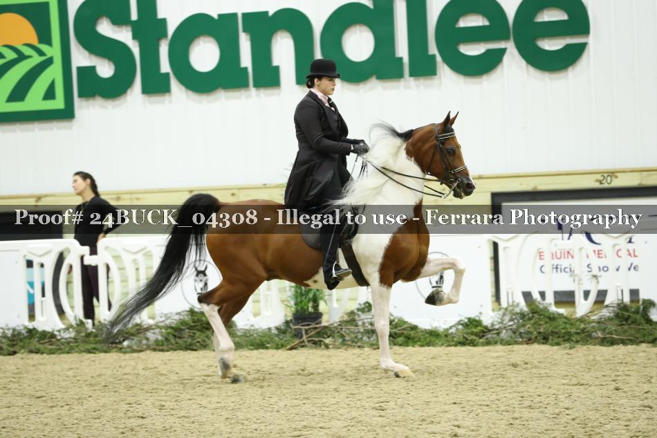 Proof 24BUCK_04308