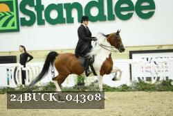 24BUCK_04308 proof