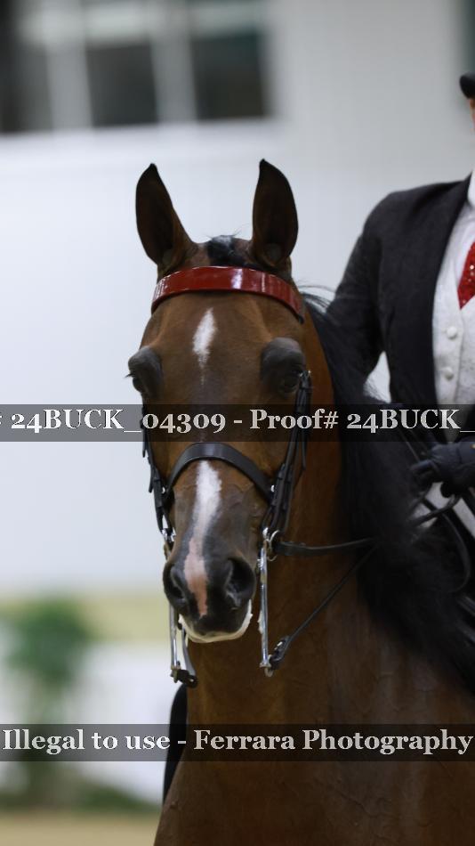 Proof 24BUCK_04309